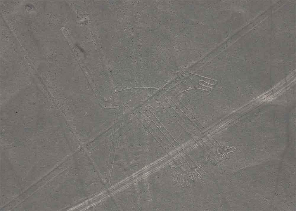 56 - Peru - Nazca, lineas, perro